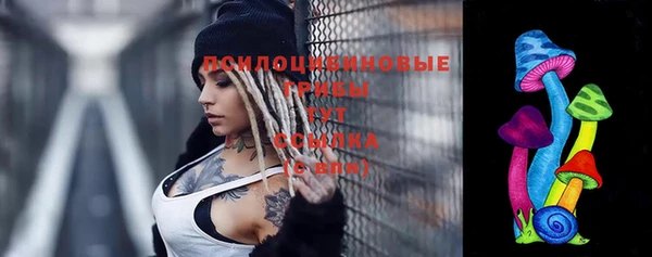 крисы Сосновоборск