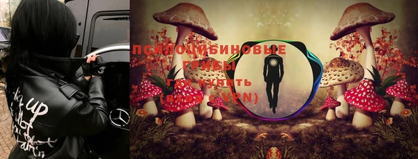 скорость Балахна